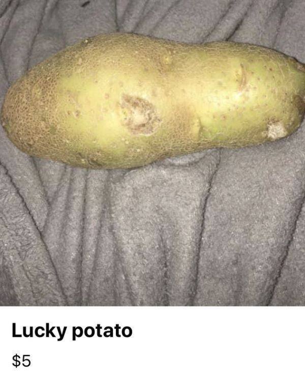 Weird Finds In Thrift Shops (35 pics)