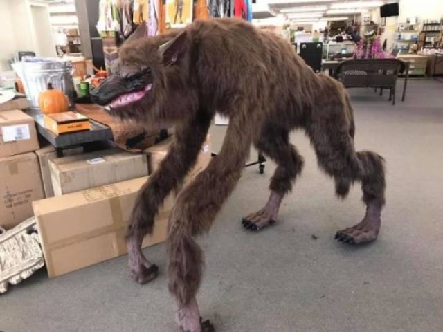 Weird Finds In Thrift Shops (35 pics)