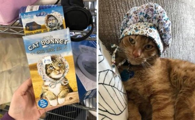 Weird Finds In Thrift Shops (35 pics)