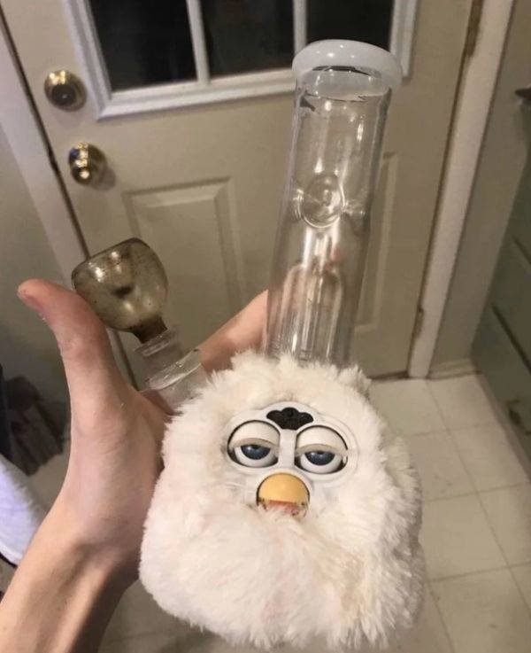 Weird Finds In Thrift Shops (35 pics)