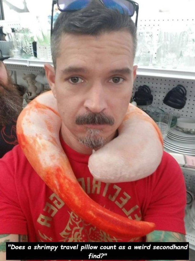 Weird Finds In Thrift Shops (35 pics)