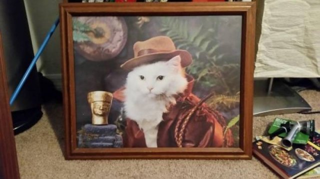 Weird Finds In Thrift Shops (35 pics)