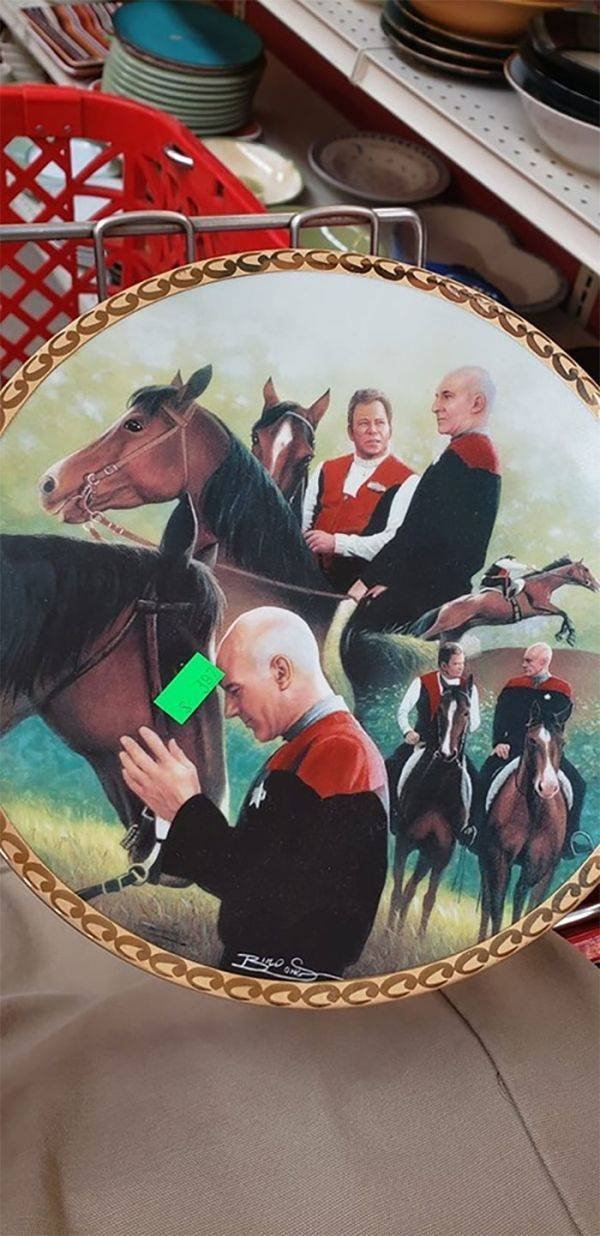 Weird Finds In Thrift Shops (35 pics)