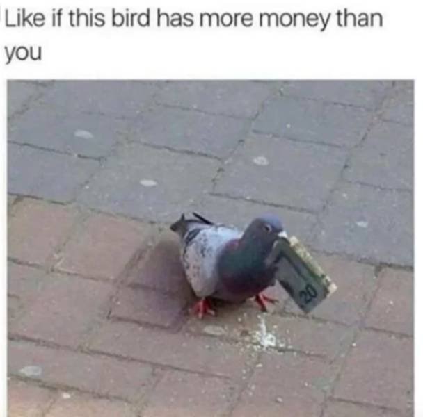 Memes About Money (29 pics)