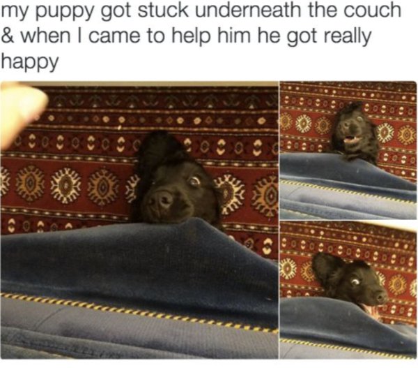 Posts For A Good Mood (41 pics)