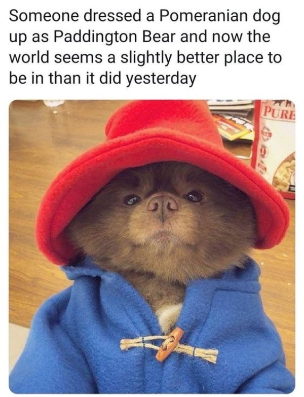 Posts For A Good Mood (41 pics)