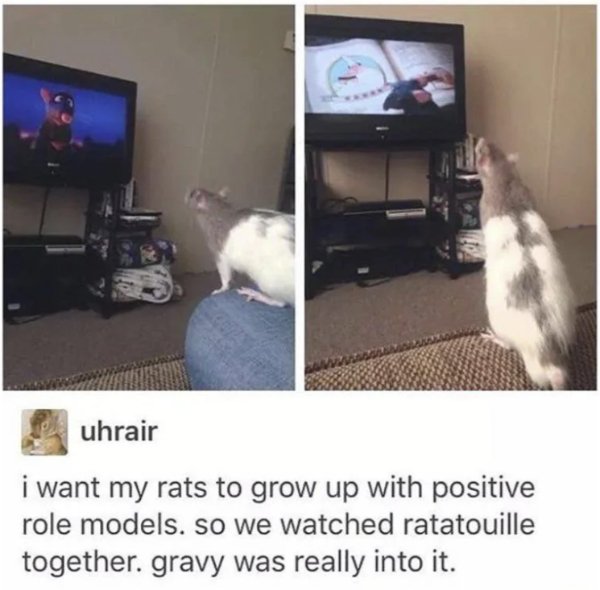 Posts For A Good Mood (41 pics)