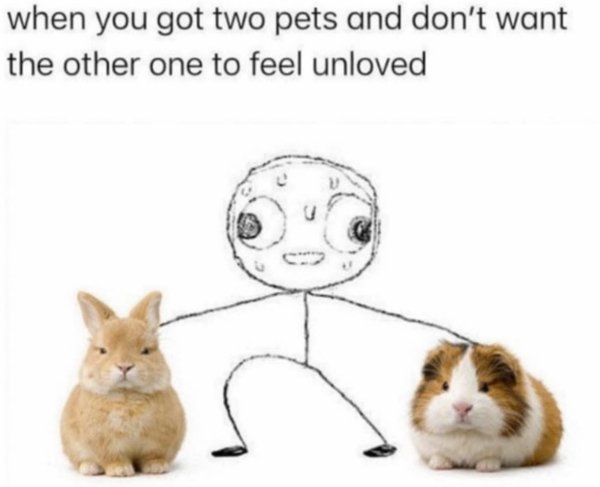 Posts For A Good Mood (41 pics)