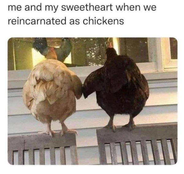 Posts For A Good Mood (41 pics)