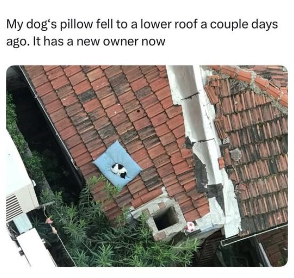 Posts For A Good Mood (41 pics)