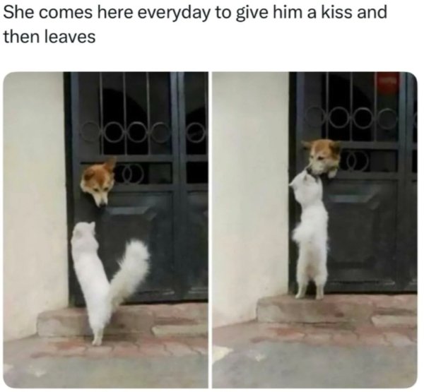 Posts For A Good Mood (41 pics)