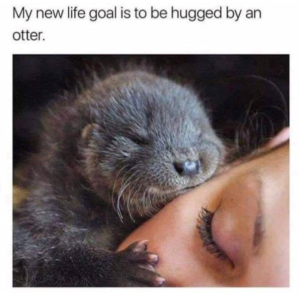 Posts For A Good Mood (41 pics)