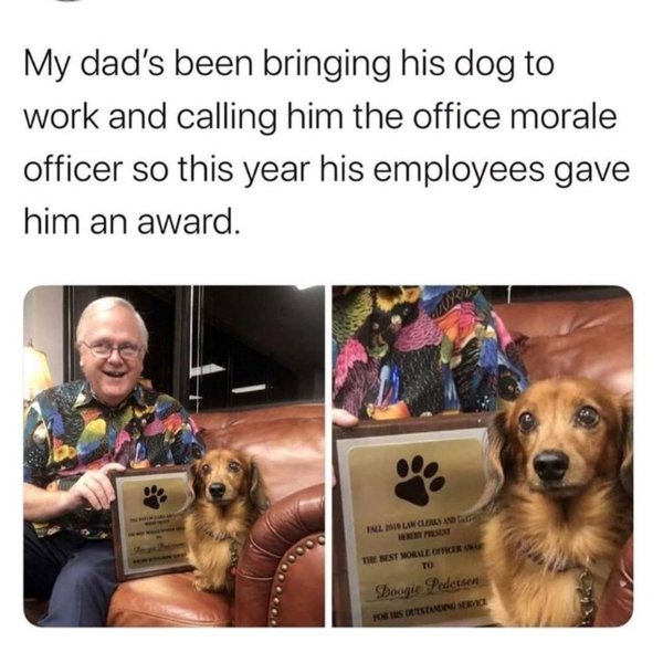 Posts For A Good Mood (41 pics)
