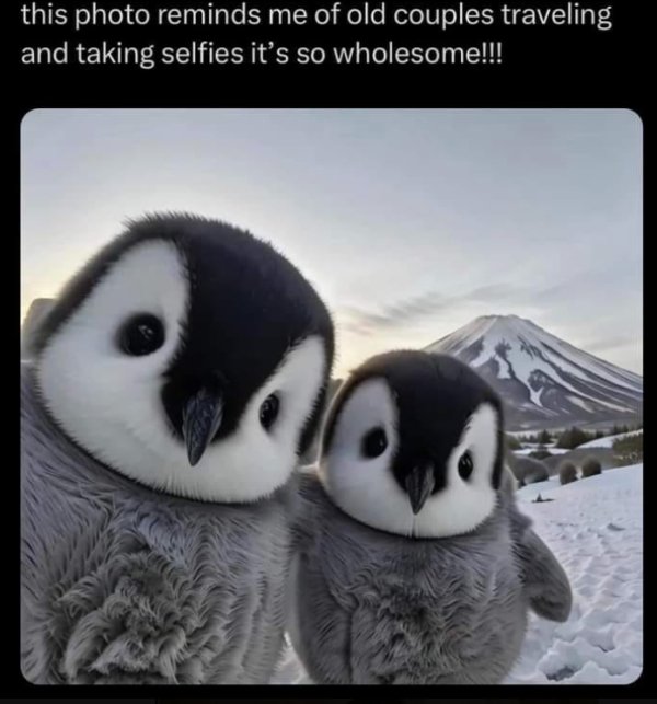 Posts For A Good Mood (41 pics)