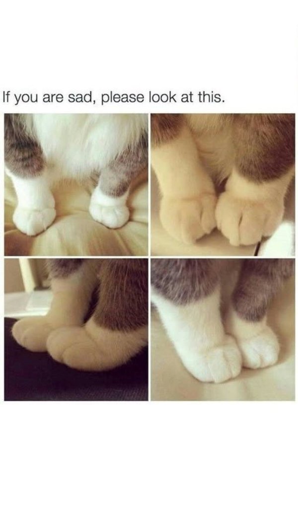 Posts For A Good Mood (41 pics)