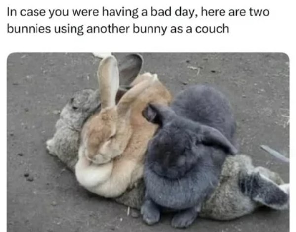 Posts For A Good Mood (41 pics)