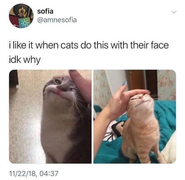 Posts For A Good Mood (41 pics)