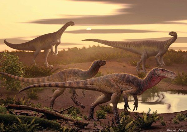 Amazing Scientific Discoveries (21 pics)