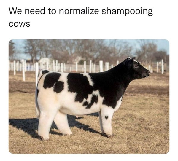 Posts For A Good Mood (41 pics)