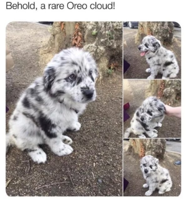 Posts For A Good Mood (41 pics)
