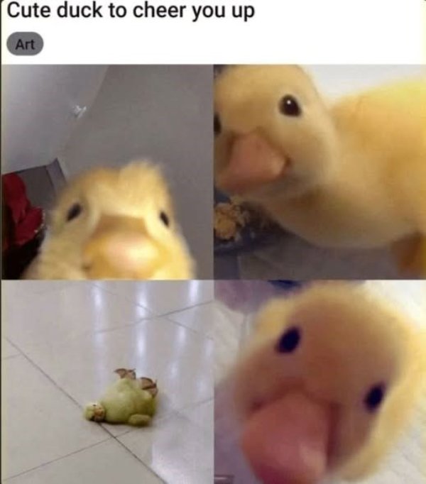 Posts For A Good Mood (41 pics)
