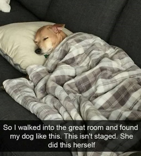 Posts For A Good Mood (41 pics)