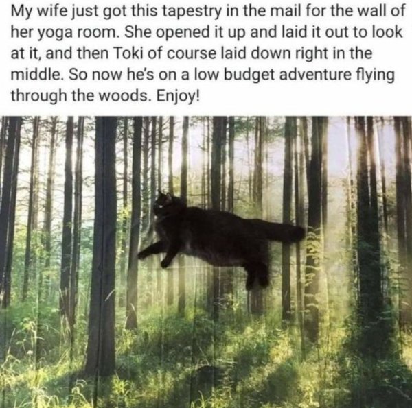 Posts For A Good Mood (41 pics)