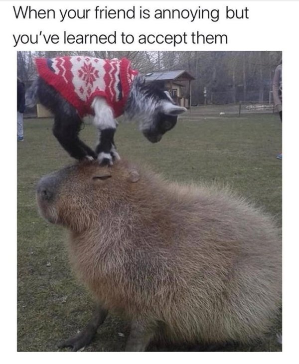 Posts For A Good Mood (41 pics)