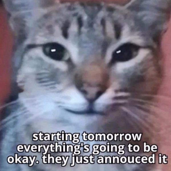 Posts For A Good Mood (41 pics)