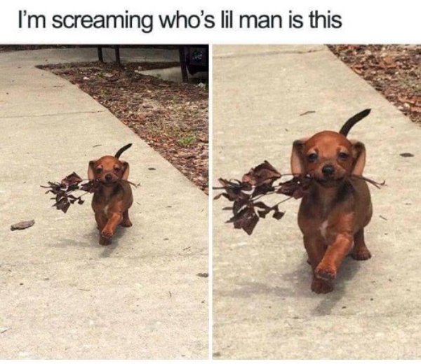 Posts For A Good Mood (41 pics)