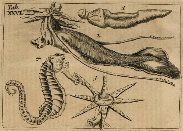 Amazing Scientific Discoveries (21 pics)