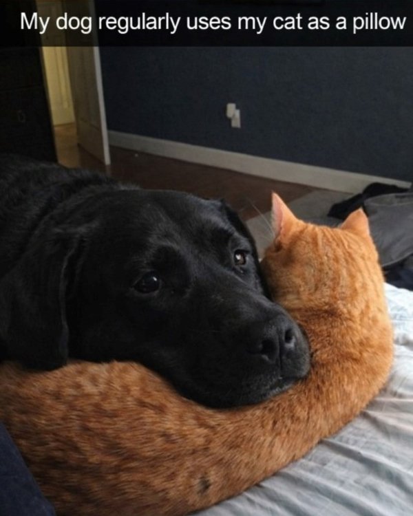 Posts For A Good Mood (41 pics)