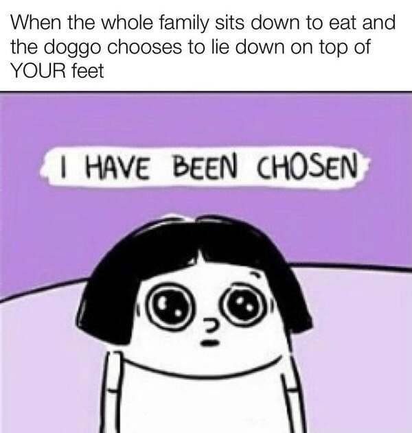 Kind Memes (39 pics)