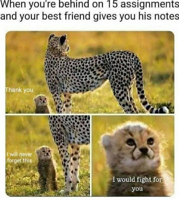 Kind Memes (39 pics)