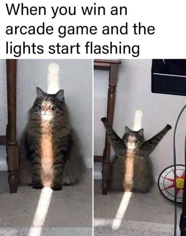 Kind Memes (39 pics)