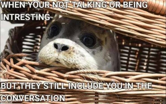 Kind Memes (39 pics)