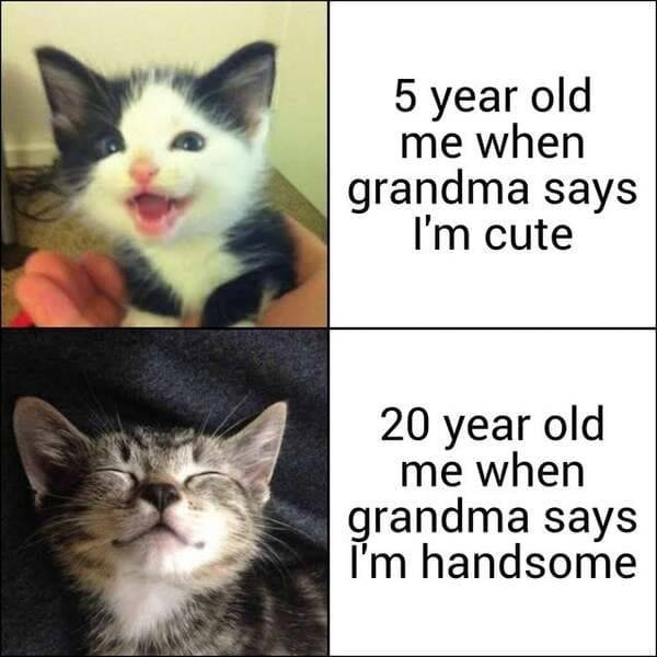 Kind Memes (39 pics)