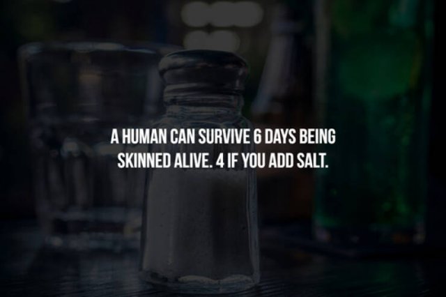 Creepy Facts (17 pics)