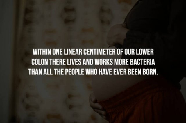 Creepy Facts (17 pics)