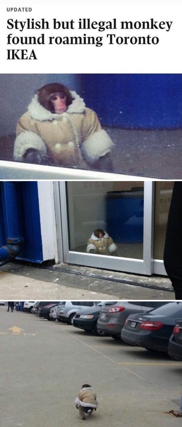 Strange Finds And Situations (42 pics)