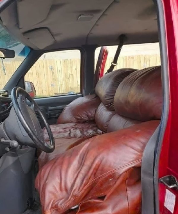 Strange Finds And Situations (42 pics)