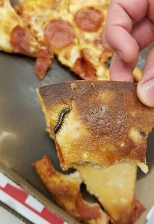 Memes And Photos For Food Lovers (42 pics)