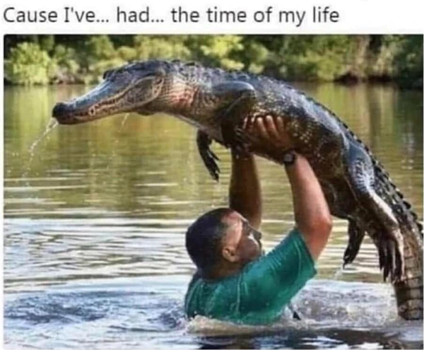 Funny Memes (15 pics)