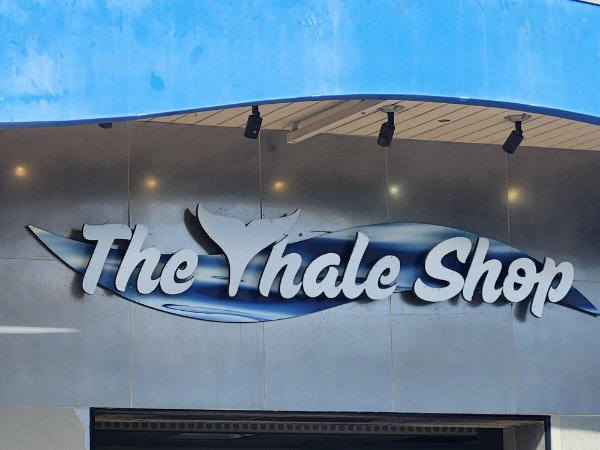 Failed Designs (31 pics)