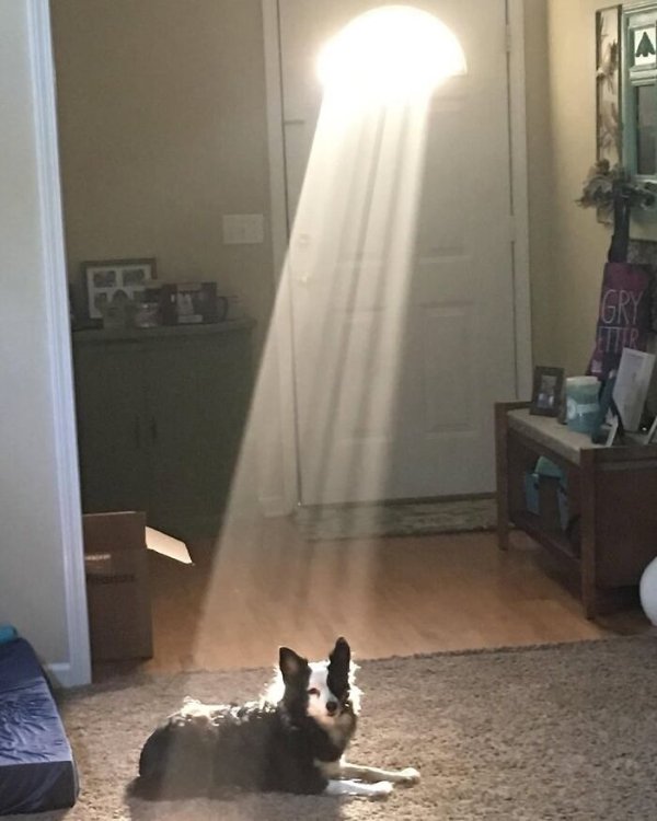 Strange Finds And Situations (42 pics)