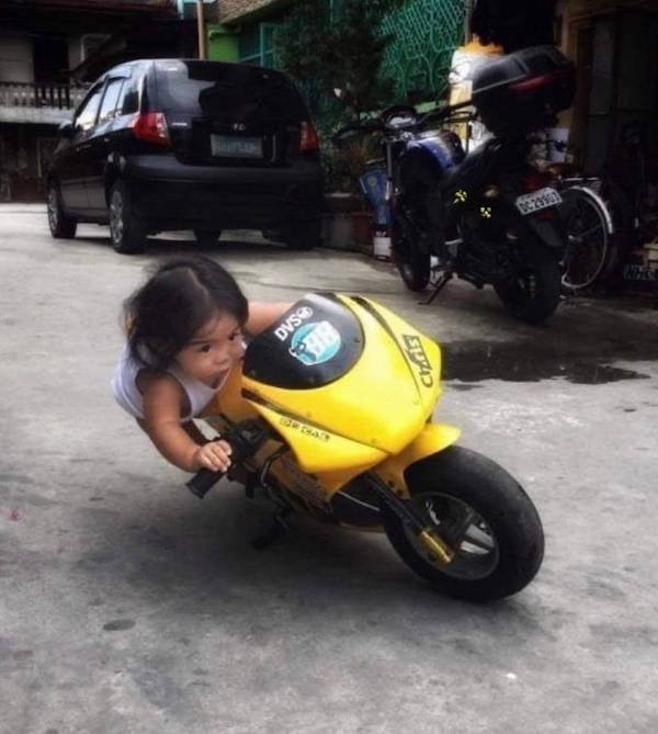 What Is Going On Here? (34 pics)