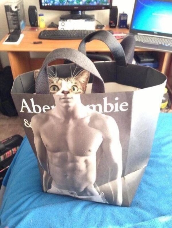 Strange Finds And Situations (42 pics)
