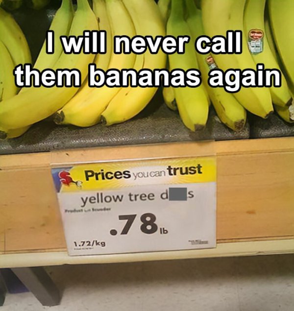 Memes And Photos For Food Lovers (42 pics)