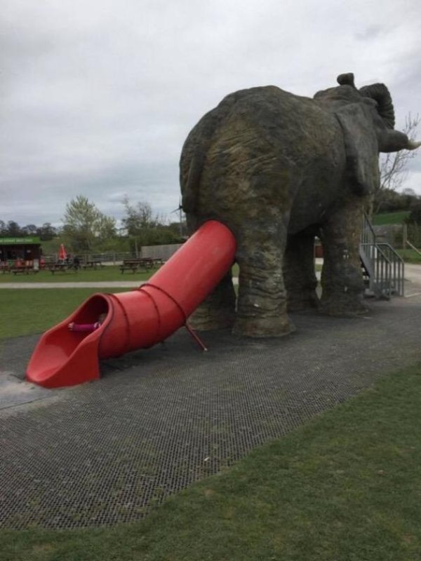 Failed Designs (31 pics)