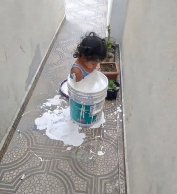 Strange Finds And Situations (42 pics)